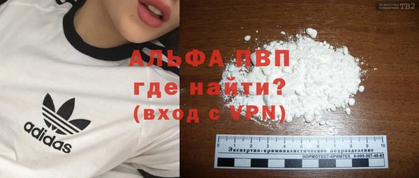 мдпв Богородицк