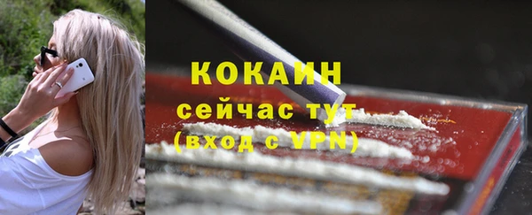apvp Богородск