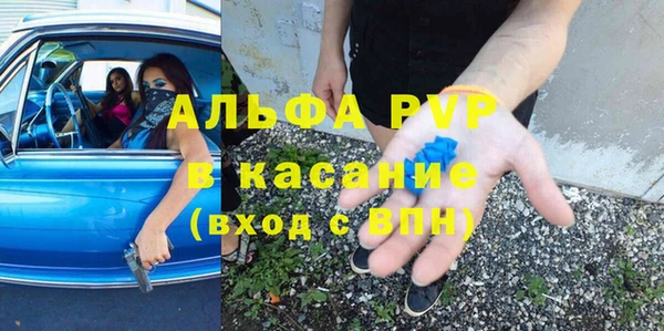 экстази Богданович