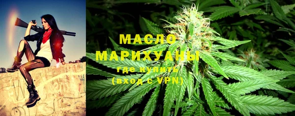мдпв Богородицк