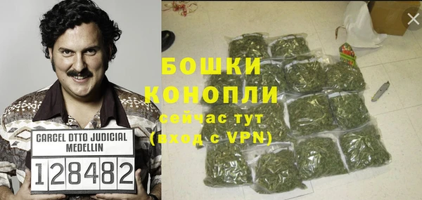 мдпв Богородицк
