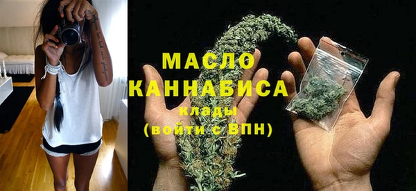 мдпв Богородицк