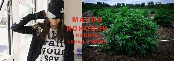 мдпв Богородицк