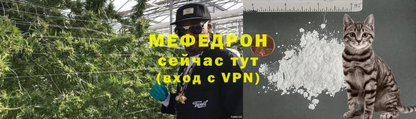 мдпв Богородицк