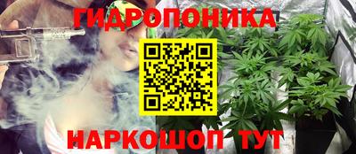 прущие крисы Донской