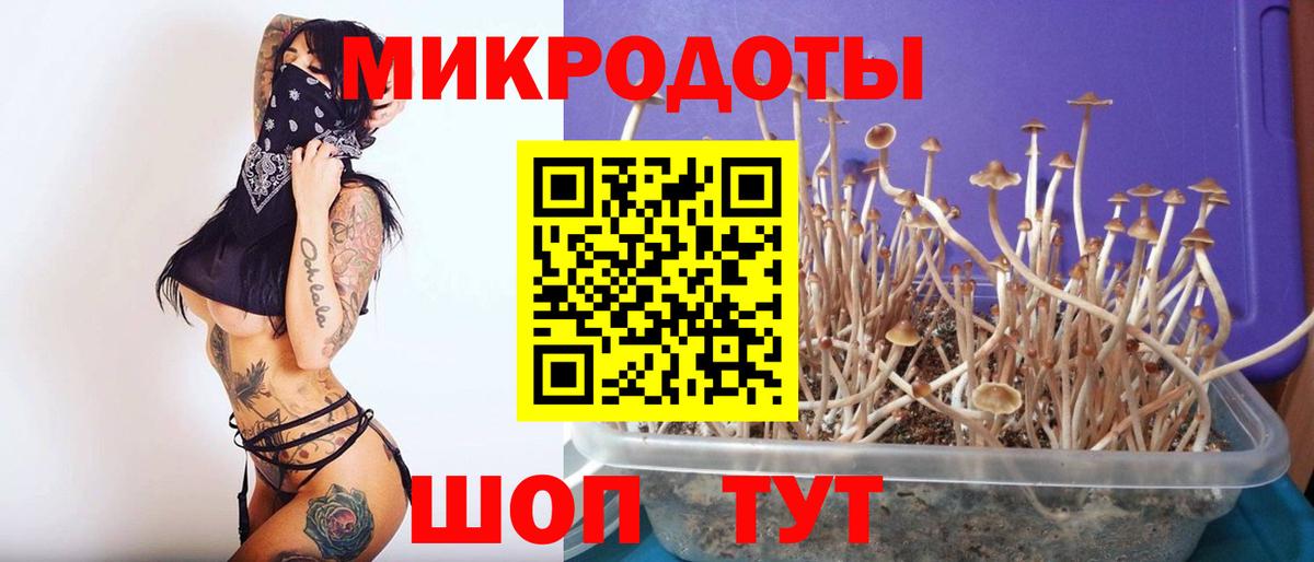 Галлюциногенные грибы Magic Shrooms Горячий Ключ