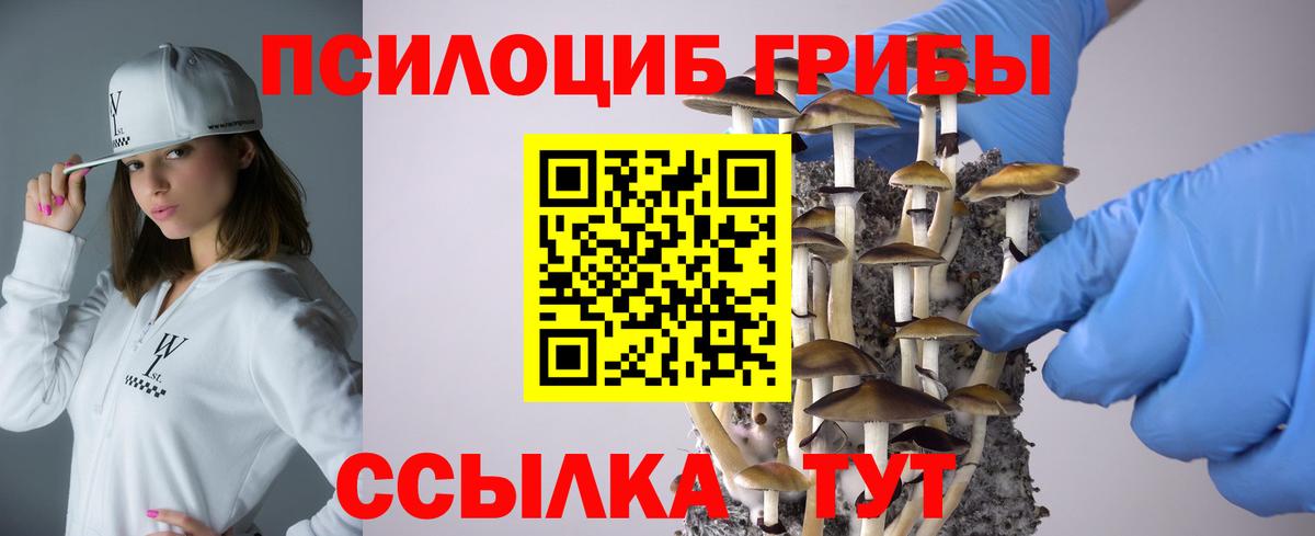 Псилоцибиновые грибы Psilocybe  Вход с VPN  купить наркоту  Горячий Ключ 