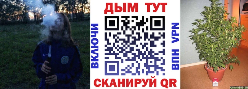 мориарти клад  Горячий Ключ  Каннабис индика 